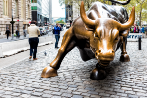 bull market